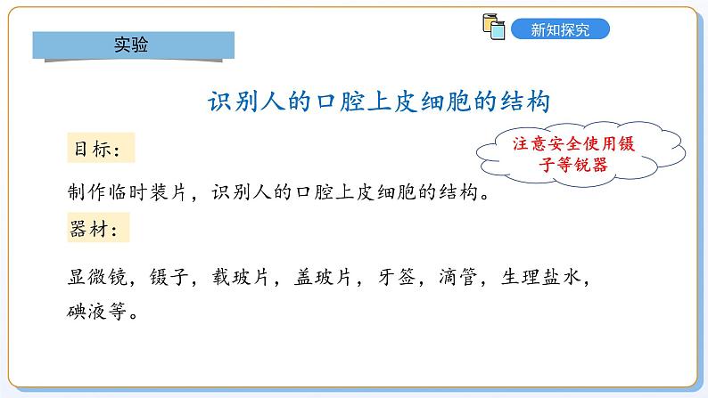 1.1.2动物细胞的结构与功能课件2024-2025学年苏教版(2024版)七年级生物上册第5页
