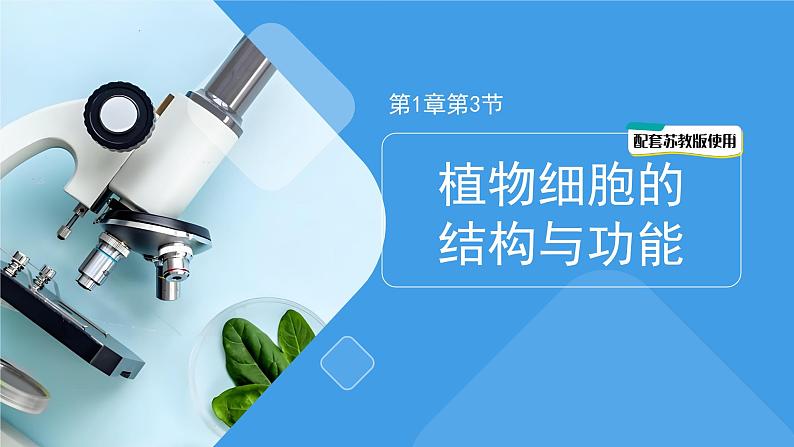 1.1.3植物细胞的结构与功能课件-2024-2025学年苏教版(2024版)七年级生物上册第1页