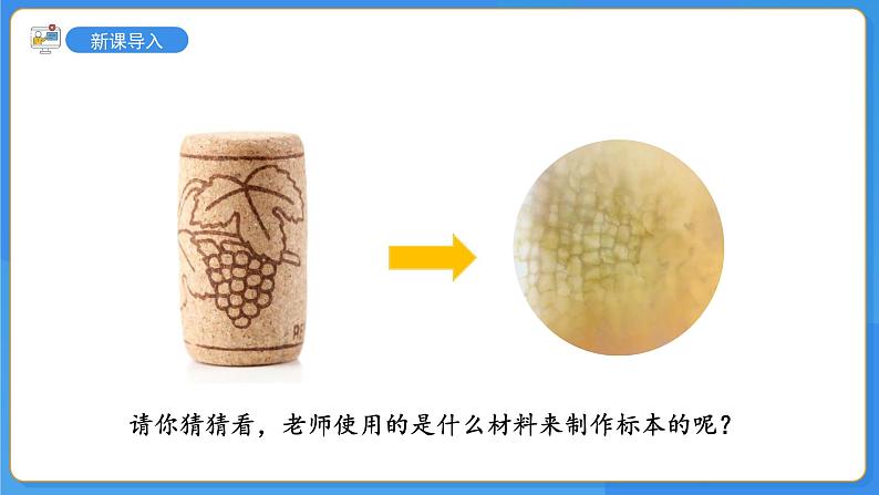1.1.3植物细胞的结构与功能课件-2024-2025学年苏教版(2024版)七年级生物上册第3页