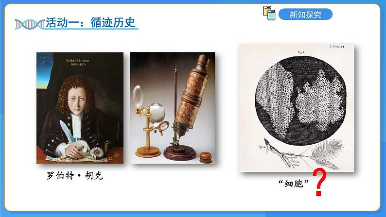 1.1.3植物细胞的结构与功能课件-2024-2025学年苏教版(2024版)七年级生物上册第4页