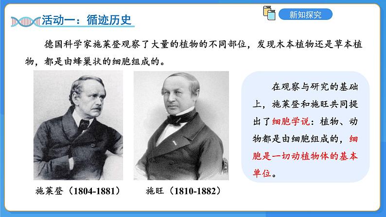 1.1.3植物细胞的结构与功能课件-2024-2025学年苏教版(2024版)七年级生物上册第6页
