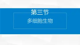 1.2.3 多细胞生物 课件---2024-2025学年苏教版（2024版）七年级生物上册