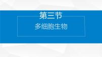 生物第3节 多细胞生物教学ppt课件
