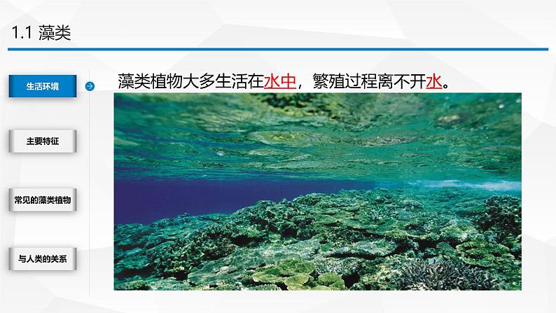 2.3.1 藻类和苔藓植物、蕨类植物课件 2024-2025学年苏教版(2024版)七年级生物上册第6页