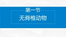 2.4.1 无脊椎动物 课件---2024-2025学年苏教版（2024版）七年级生物上册