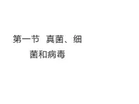 2.5.1  真菌、细菌和病毒（第一课时）课件---2024-2025学年苏教版（2024版）七年级生物上册