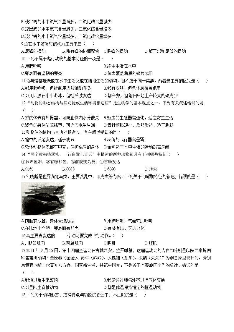 广东省东莞市松山湖北区学校2024-2025学年八年级上学期期中考试生物试题(无答案)第2页