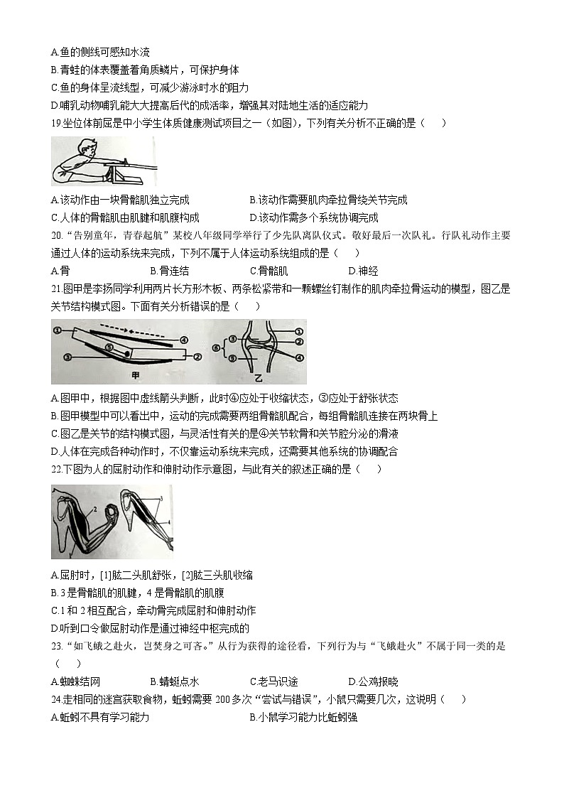 广东省东莞市松山湖北区学校2024-2025学年八年级上学期期中考试生物试题(无答案)第3页