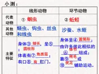 2024---2025学年度八年级生物上册5.1.3软体动物与节肢动物课件