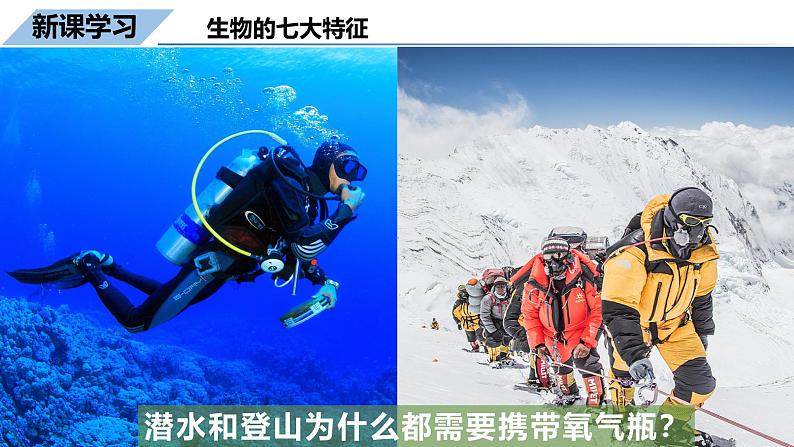 1.1.2生物的特征课件--2024-2025学年人教版(2024)生物七年级上册第6页