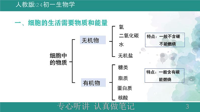 1.2.4细胞的生活课件 -2024-2025学年人教版(2024)生物七年级上册第3页