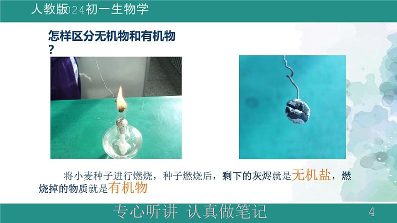 1.2.4细胞的生活课件 -2024-2025学年人教版(2024)生物七年级上册第4页