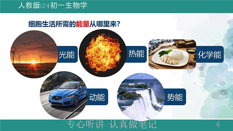 1.2.4细胞的生活课件 -2024-2025学年人教版(2024)生物七年级上册第6页