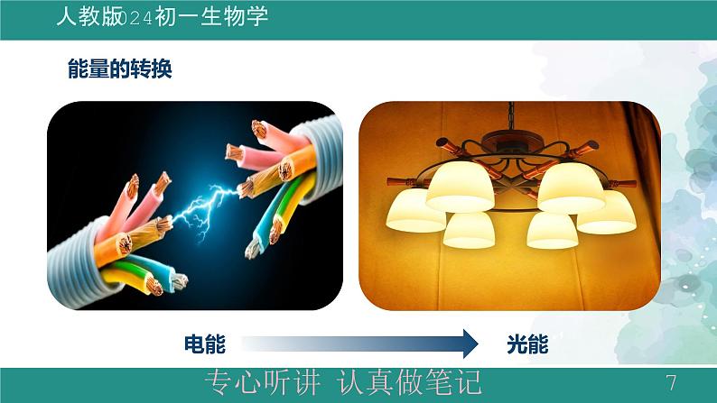 1.2.4细胞的生活课件 -2024-2025学年人教版(2024)生物七年级上册第7页