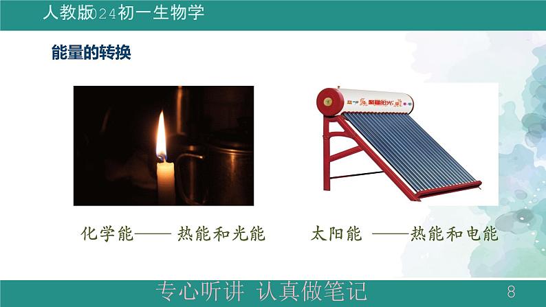 1.2.4细胞的生活课件 -2024-2025学年人教版(2024)生物七年级上册第8页