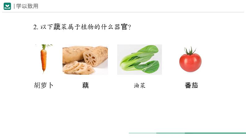 1.3.3 植物体的结构层次课件--2024-2025学年人教版(2024)生物七年级上册第6页