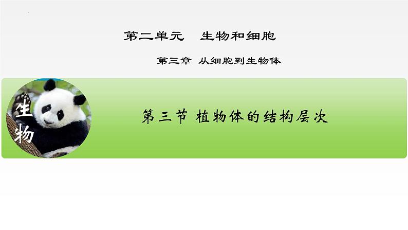 1.3.3植物体的结构层次课件 2024-2025学年人教版(2024)生物七年级上册第2页