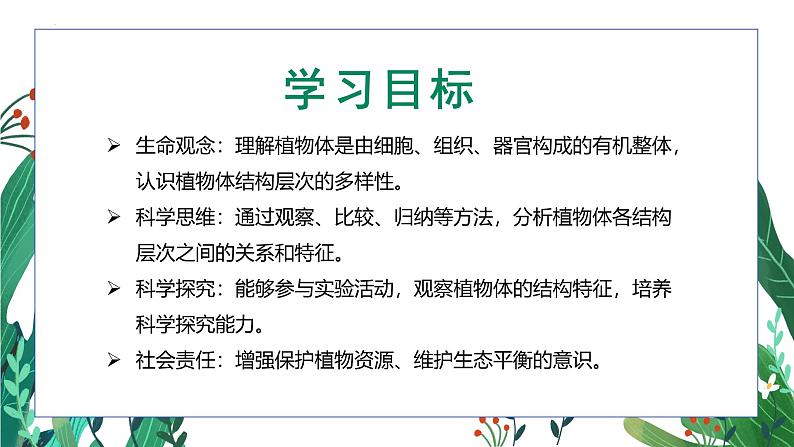 1.3.3植物体的结构层次课件 2024-2025学年人教版(2024)生物七年级上册第3页