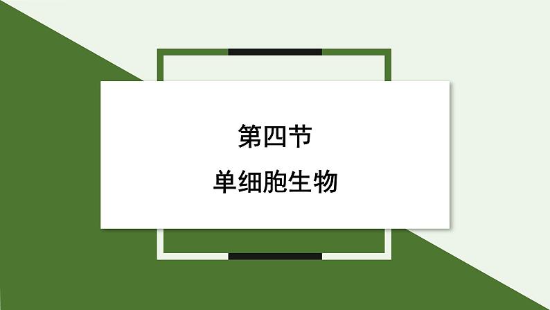 1.3.4 单细胞生物 课件(内嵌视频4个) ---2024-2025学年人教版(2024)生物七年级上册01