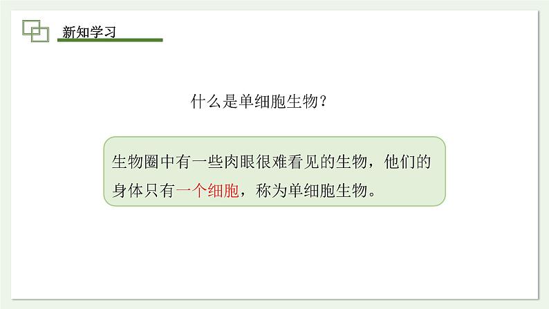 1.3.4 单细胞生物 课件(内嵌视频4个) ---2024-2025学年人教版(2024)生物七年级上册03