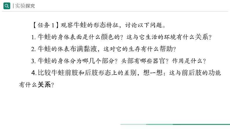 2.2.2.2 两栖动物和爬行动物 课件 (内嵌视频 2个) ----2024-2025学年人教版(2024)生物七年级上册第5页