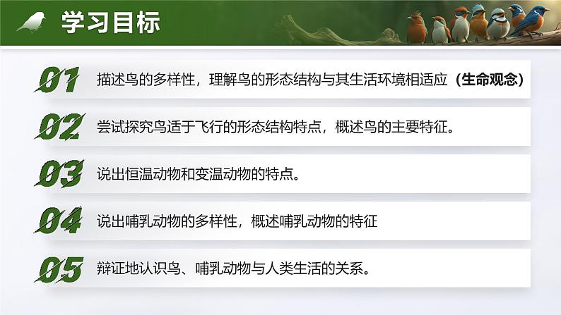 2.2.2.3 脊椎动物-鸟和哺乳动物(教学设计(表格式)+课件)---2024-2025学年人教版(2024)生物七年级上册04