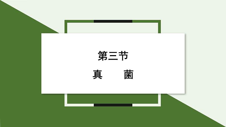 2.3.3 真菌 课件 2024-2025学年人教版(2024)生物七年级上册第1页