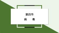 人教版（2024）七年级上册（2024）第二单元 多种多样的生物第三章 微生物第四节 病毒集体备课ppt课件