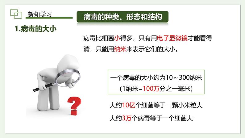 2.3.4 病毒 课件--2024-2025学年人教版(2024)生物七年级上册08