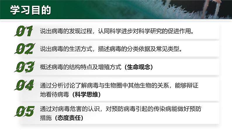 2.3.4 病毒(教学设计(表格式)+课件(内嵌视频2个))---2024-2025学年人教版(2024)生物七年级上册03