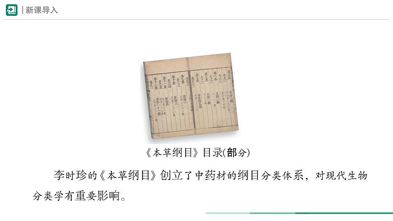 2.4.1 尝试对生物进行分类 课件 -2024-2025学年人教版(2024)生物七年级上册第5页