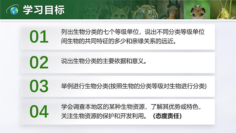 2.4.2 从种到界(教学设计(表格式)+课件)---2024-2025学年人教版(2024)生物七年级上册03