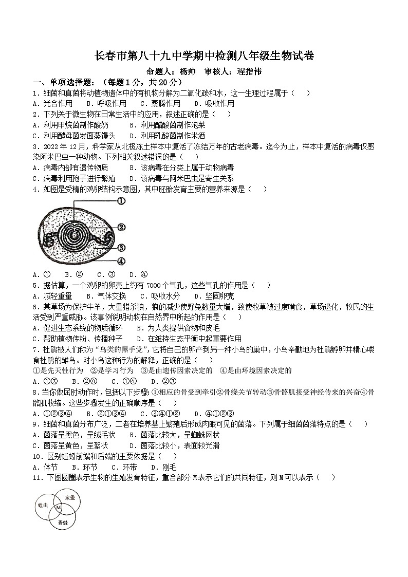 吉林省长春市第八十九中学2024-2025学年八年级上学期10月期中生物试题(无答案)第1页
