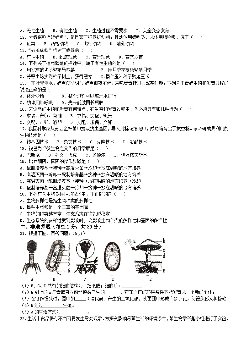 吉林省长春市第八十九中学2024-2025学年八年级上学期10月期中生物试题(无答案)第2页