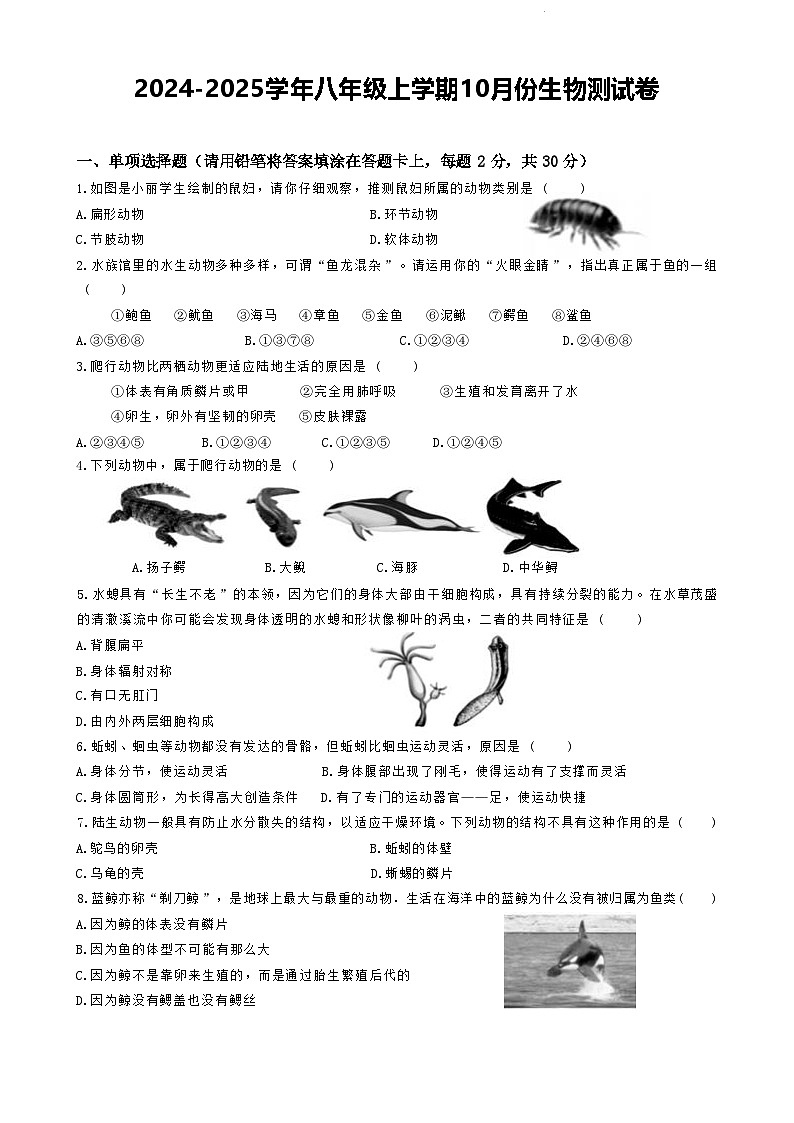 广西南宁市第三中学2024-2025学年八年级上学期10月份生物测试卷第1页