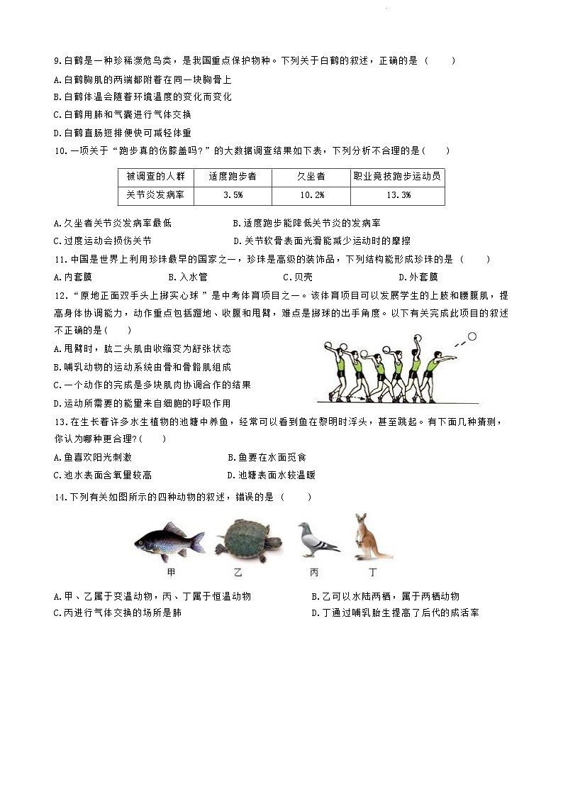 广西南宁市第三中学2024-2025学年八年级上学期10月份生物测试卷第2页