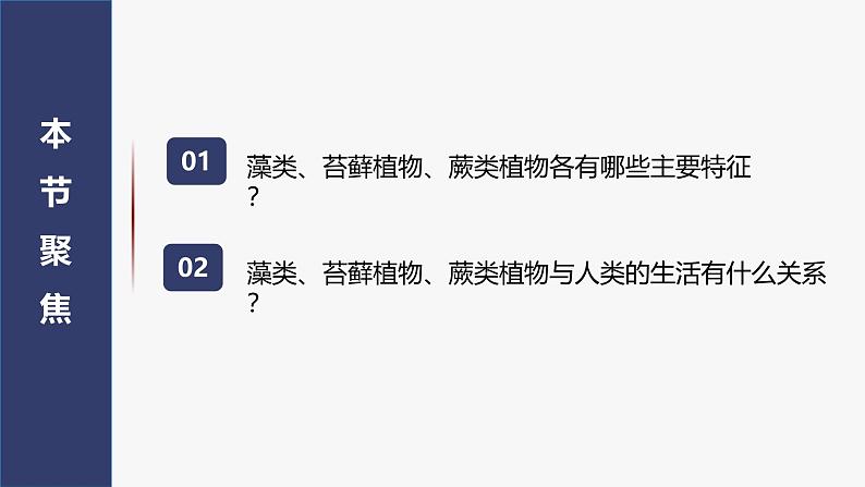 2.1.1 藻类、苔藓植物和蕨类植物课件2024-2025学年人教版(2024)生物七年级上册02