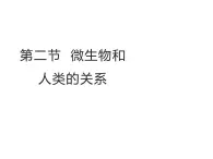 2.5.2  微生物与人类的关系  课件---2024-2025学年苏教版（2024版）七年级生物上册