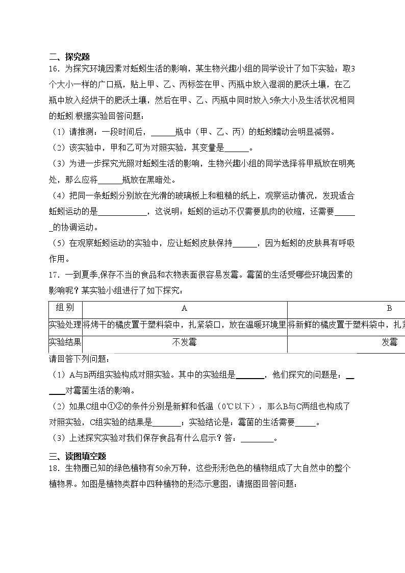 辽宁省鞍山市海城市西部集团2024-2025学年八年级上学期10月月考生物试卷(含答案)03
