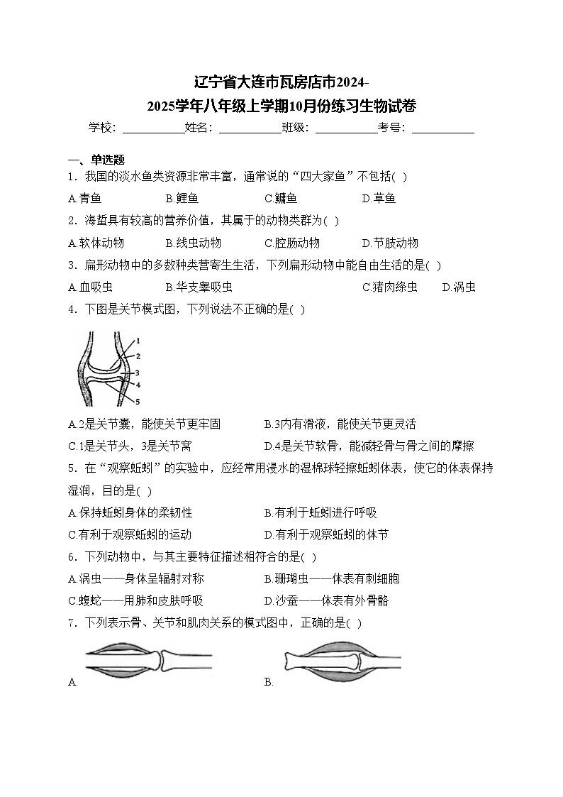 辽宁省大连市瓦房店市2024-2025学年八年级上学期10月份练习生物试卷(含答案)01