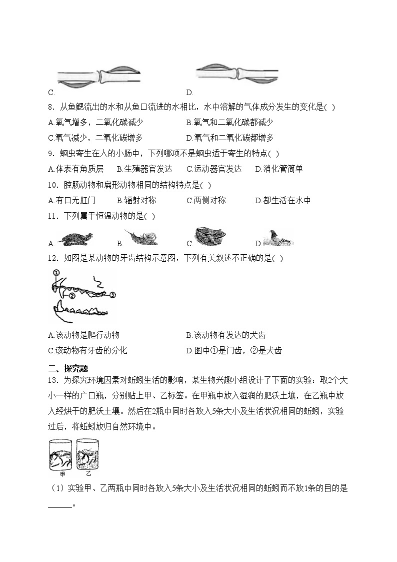 辽宁省大连市瓦房店市2024-2025学年八年级上学期10月份练习生物试卷(含答案)02