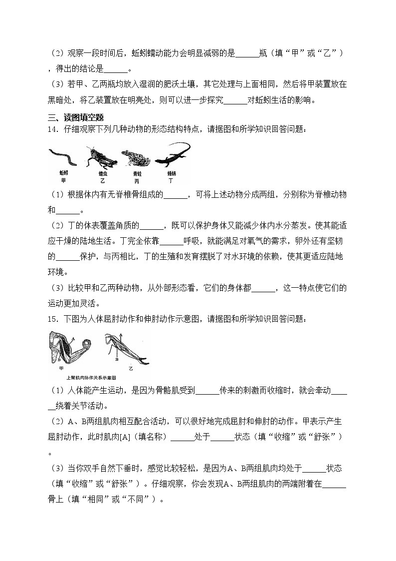 辽宁省大连市瓦房店市2024-2025学年八年级上学期10月份练习生物试卷(含答案)03