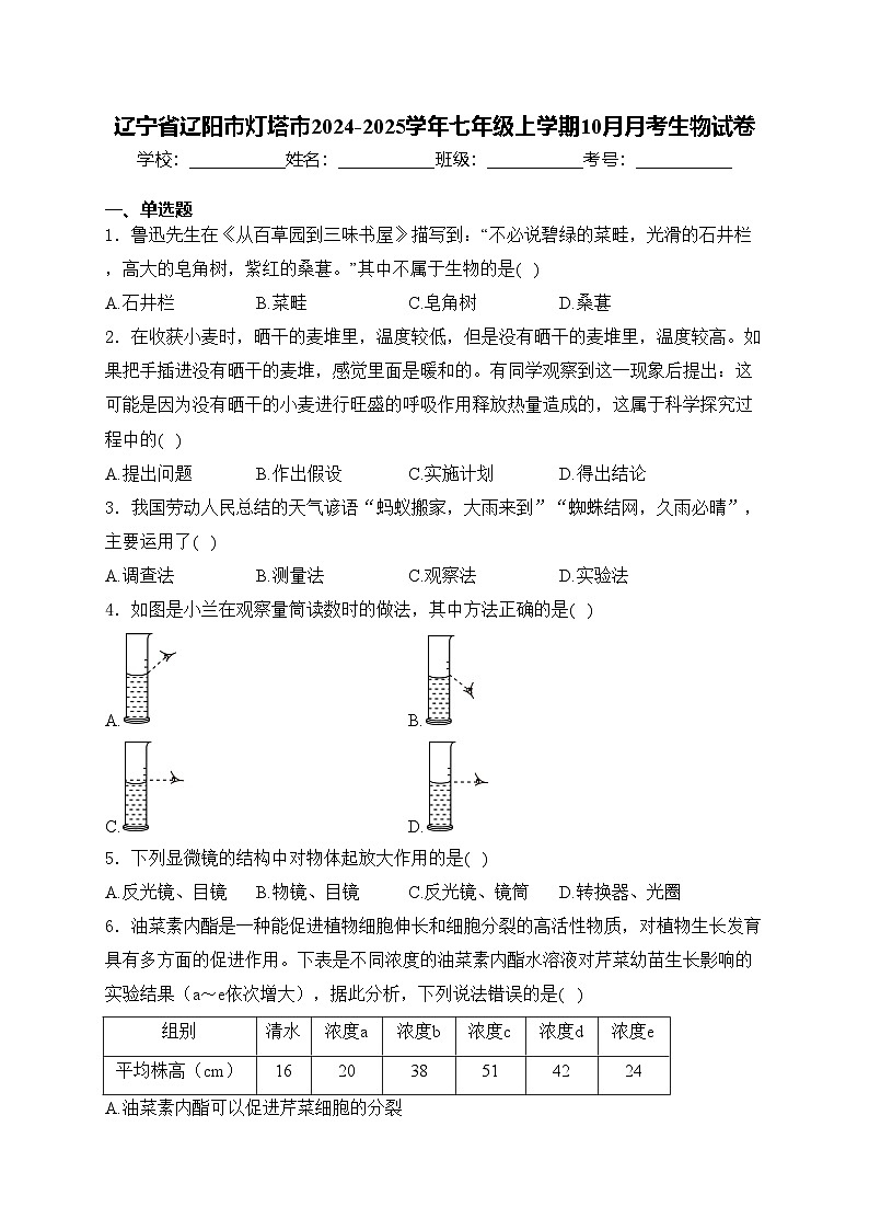 辽宁省辽阳市灯塔市2024-2025学年七年级上学期10月月考生物试卷(含答案)01