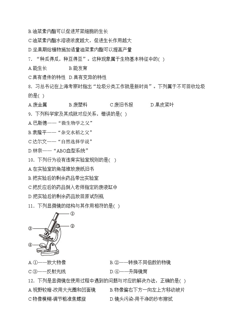 辽宁省辽阳市灯塔市2024-2025学年七年级上学期10月月考生物试卷(含答案)02