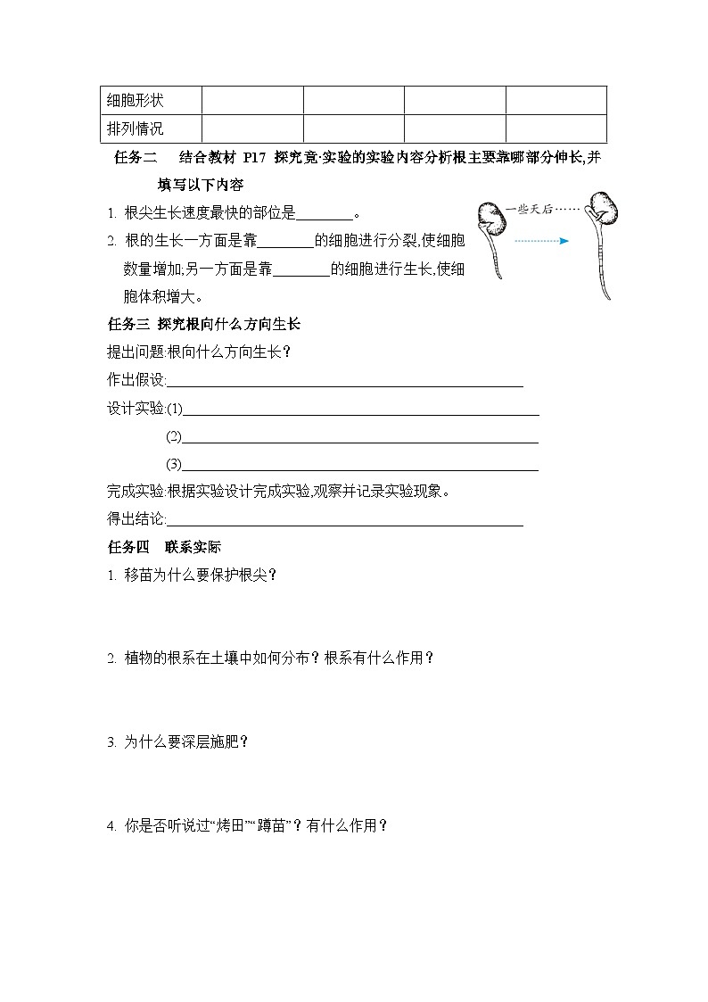 冀少版八年级生物上册第二章根的吸收作用导学案第2页
