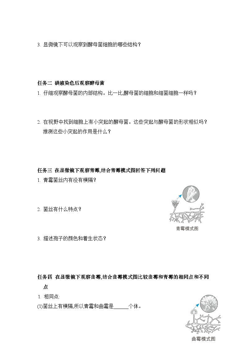 冀少版八年级生物上册第二章真菌导学案第2页