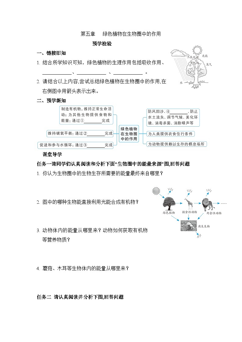 冀少版八年级生物上册第五章绿色植物在生物圈中的作用导学案01