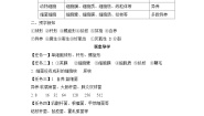 生物八年级上册第二节 病毒学案