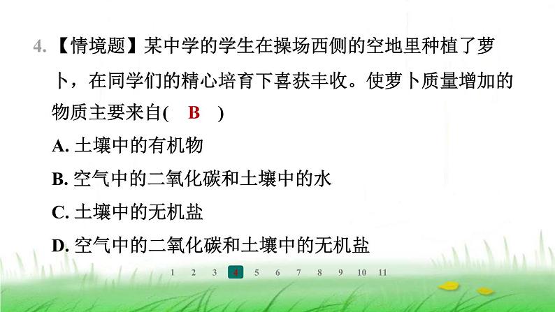冀少版八年级生物上册第三单元第二节光合作用的原料课件第6页
