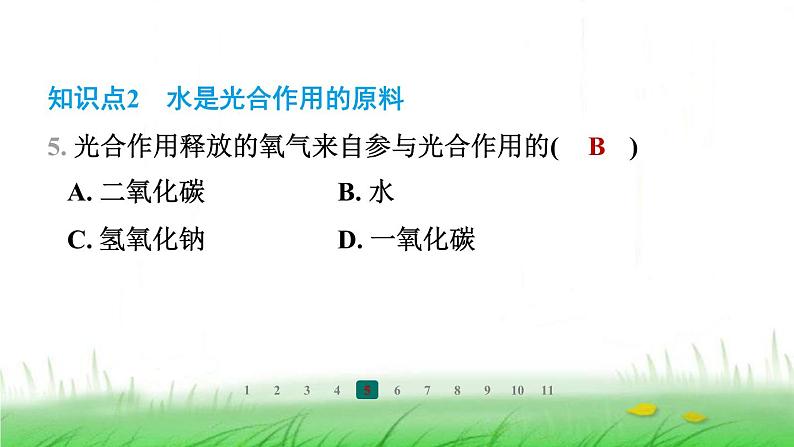 冀少版八年级生物上册第三单元第二节光合作用的原料课件第7页